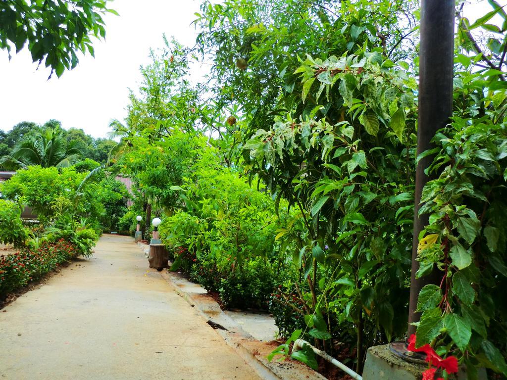 Homestay The Krabi Forest *