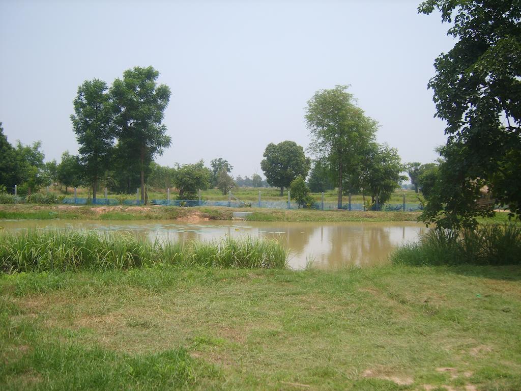 Resort Chomna 2*