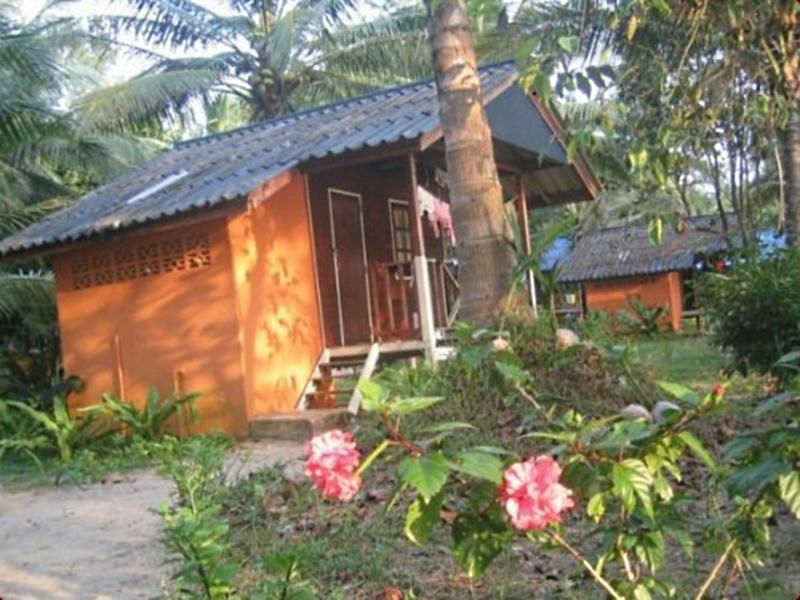 Phayam Coconut Koh Phayam
