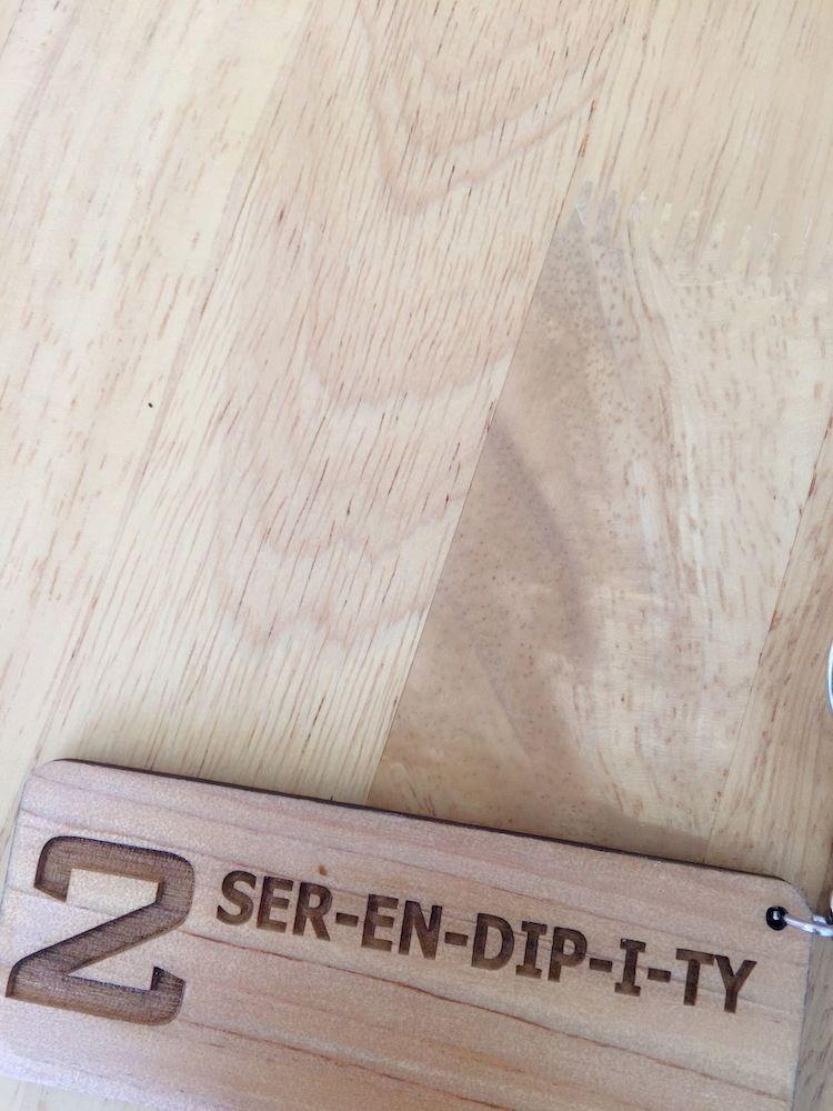 Ser-en-dip-i-ty - Sha Extra