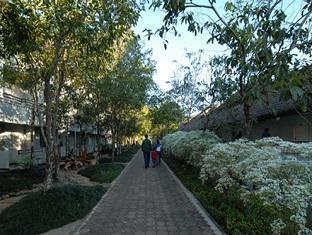 Resort Doitung Ban Rai (Chiang Rai)