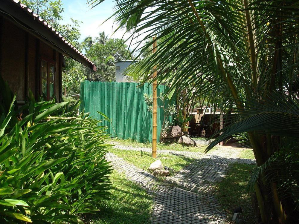 Hotel Tropical Garden Lounge Bophut