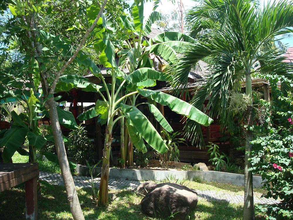 Tropical Garden Lounge