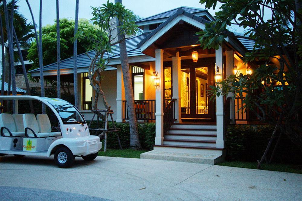 Raya Front - The In