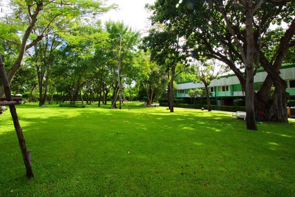Resort Raya Front - The In