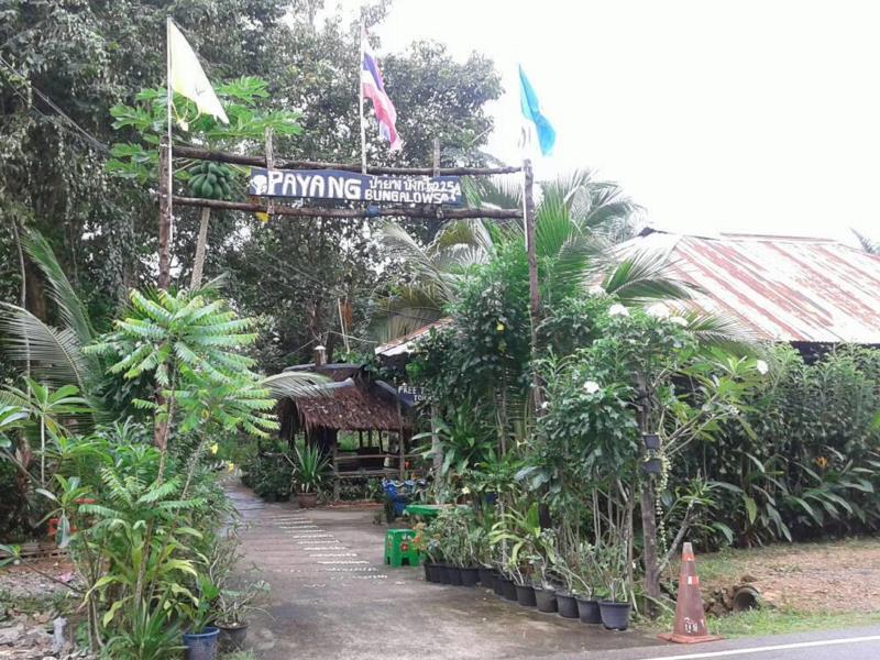 Payang