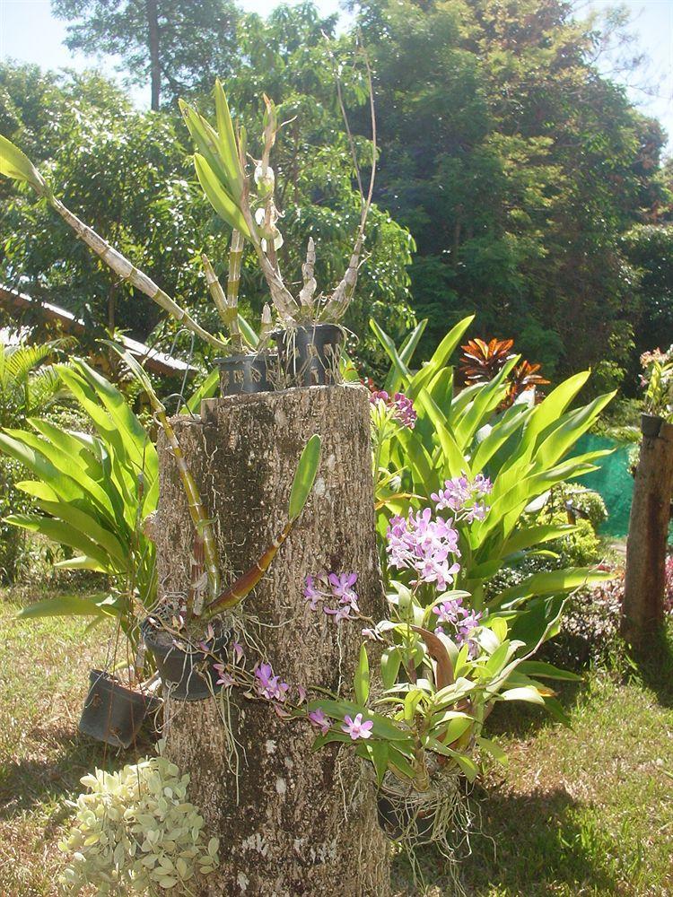Hotel Faye Orchid Koh Chang