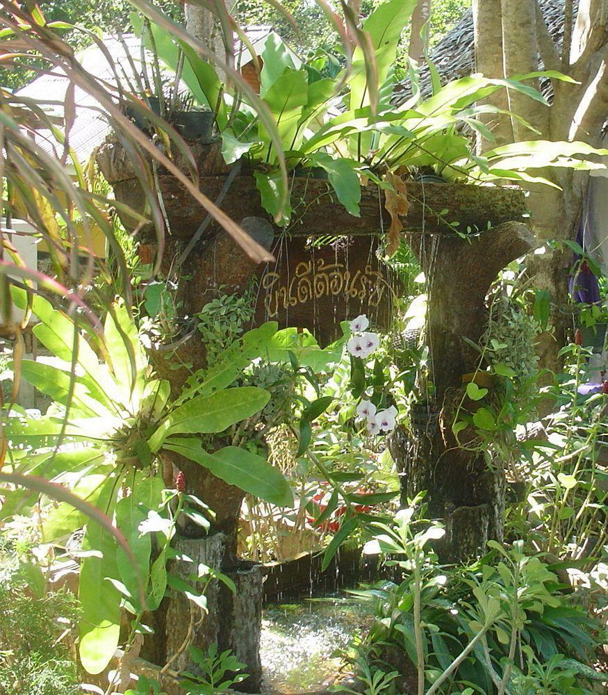 Faye Orchid Koh Chang