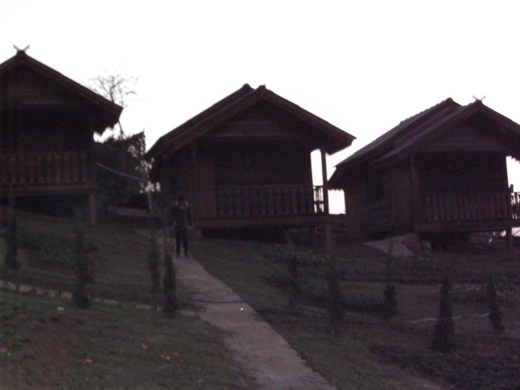 Phu Mok Dok Mai Wiang Kaen