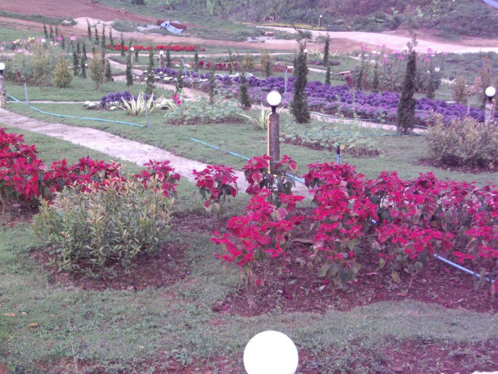 Phu Mok Dok Mai Resort Wiang Kaen