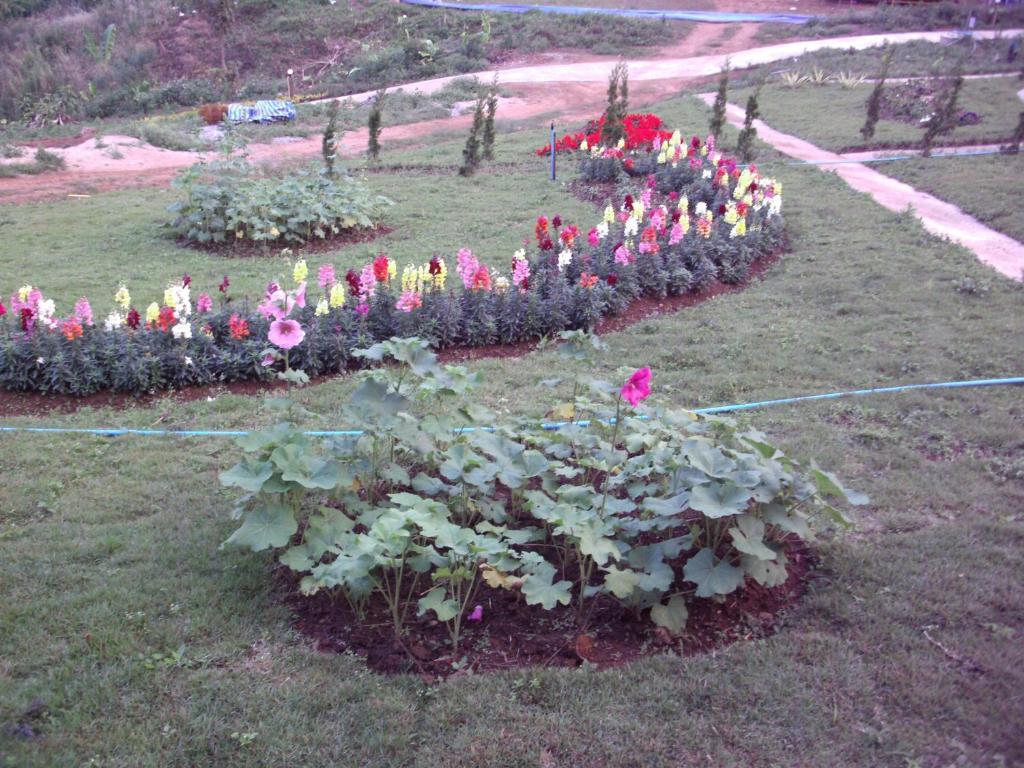 Resort Phu Mok Dok Mai Wiang Kaen