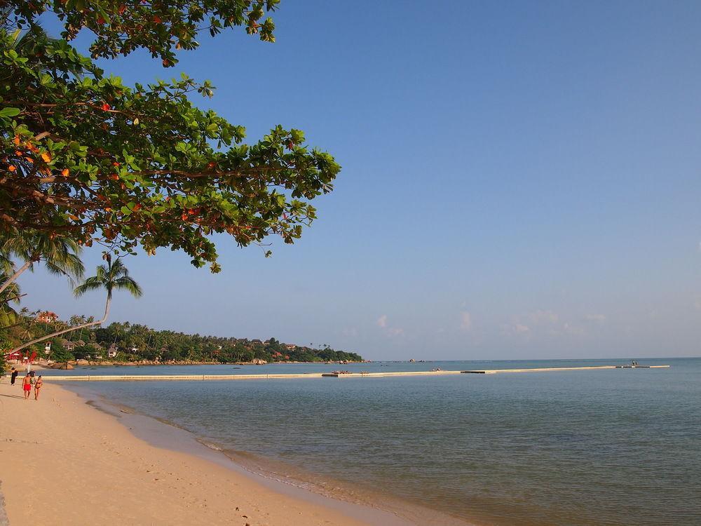 Hotel Manita Lamai Beach (Koh Samui)