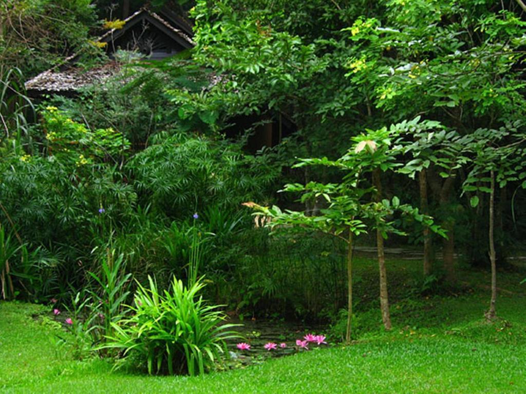 Fern Resort