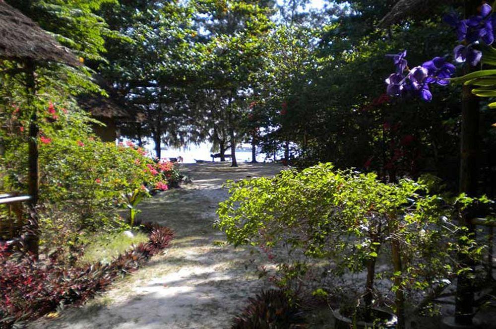 View Koh Lipe