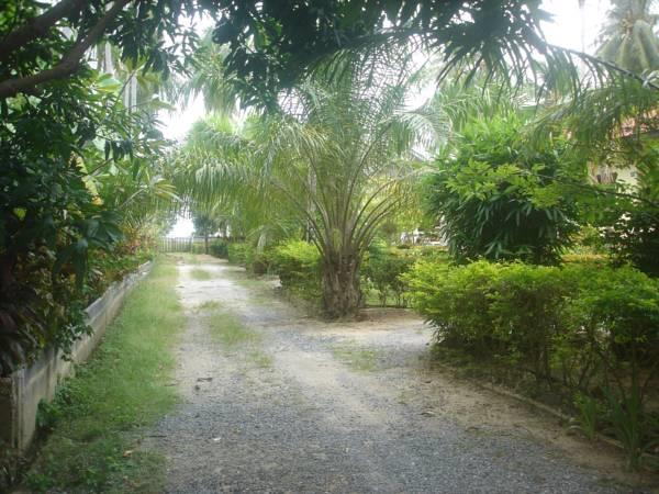 Hotel Samui Natien Village *