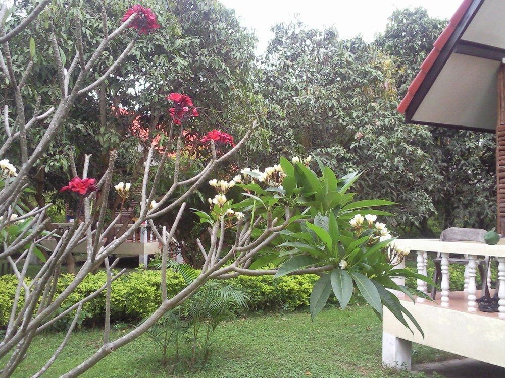 Thai-bamboo 3*