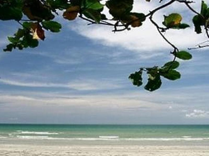 Nice Beach Hotel Hotel