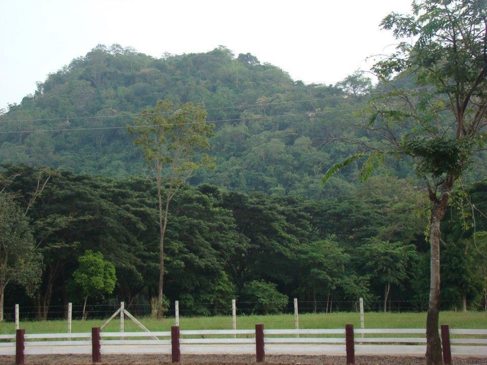 Family Khao Yai Resort