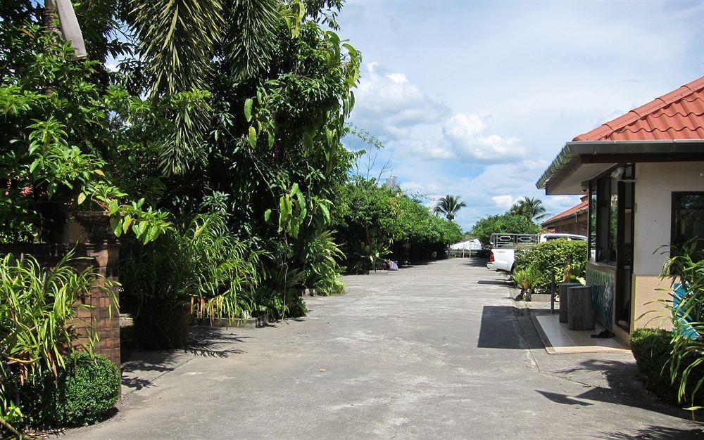Oasis *