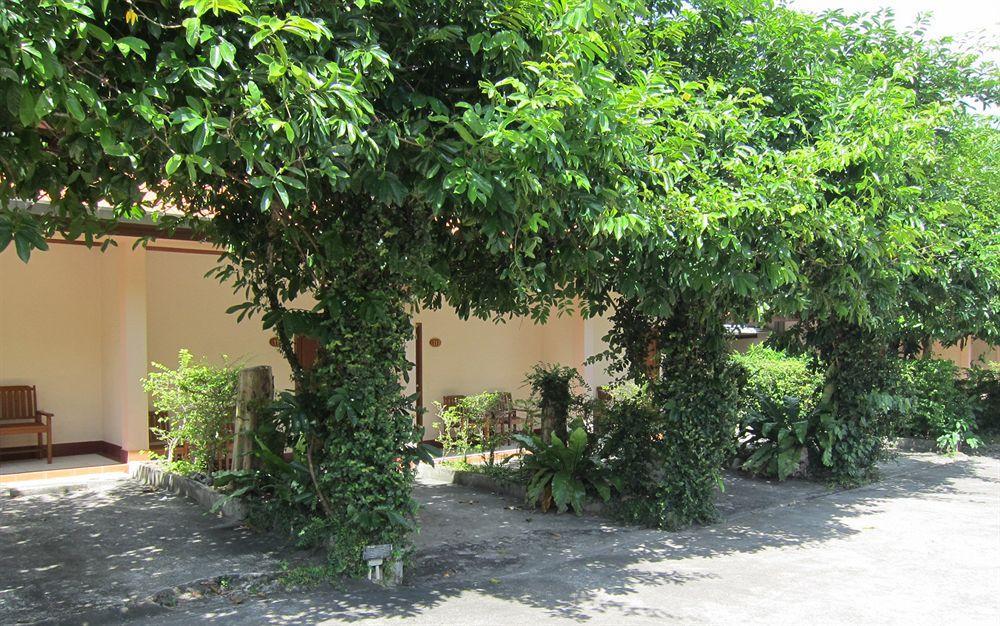 Oasis Hostel *