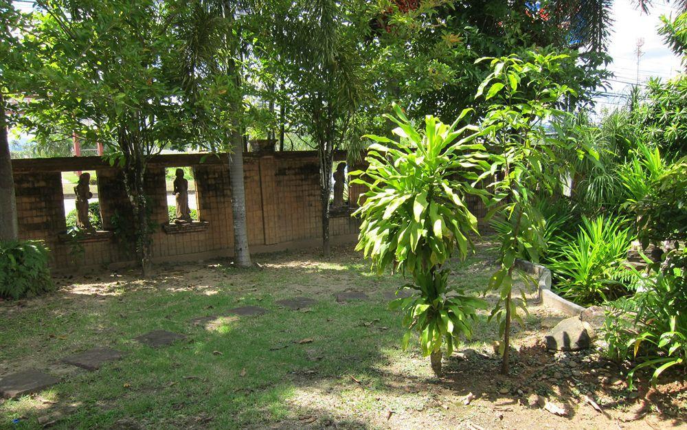 Oasis * Krabi