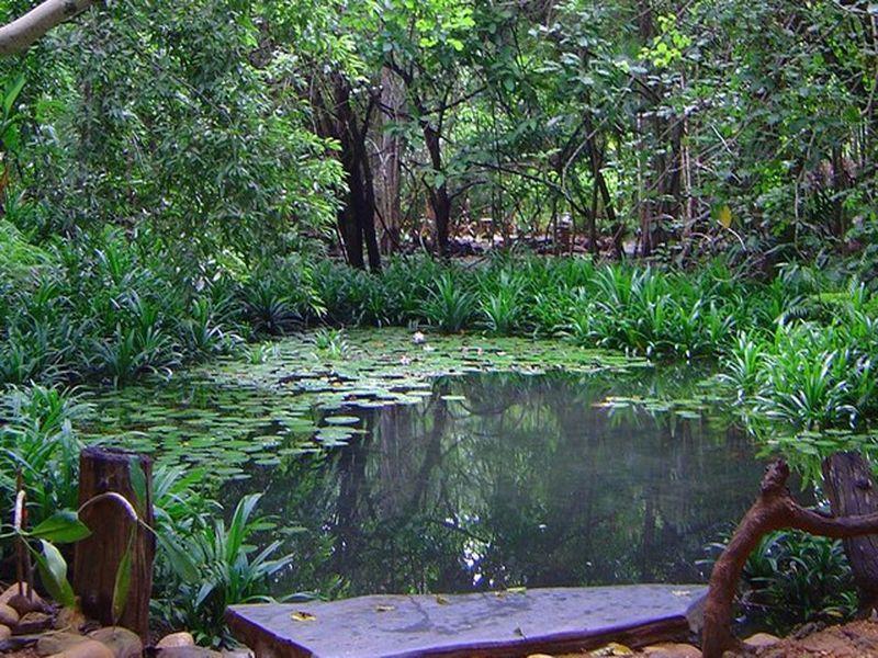 Momchailai Forest Retreat Resort Kanchanaburi