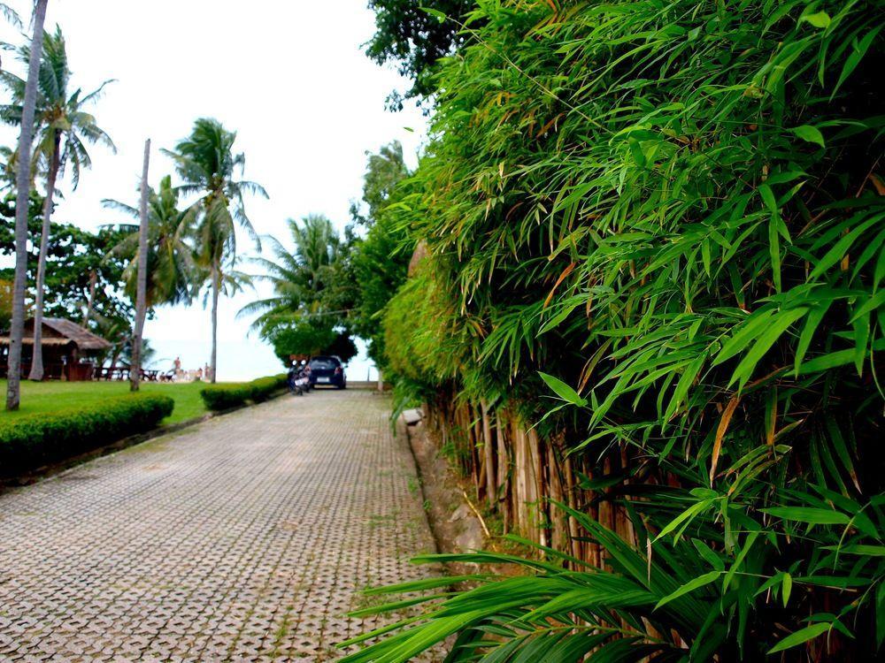 Natural Wing Health And Resort 3*