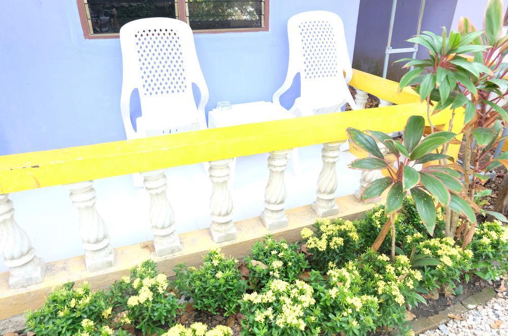 View Son Guest house *