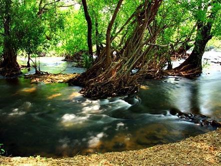 Naturalpark De Wangthong 3* Ban Nong Nok Aen