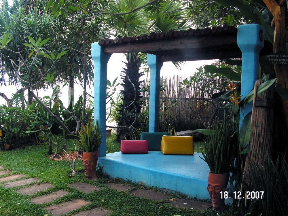 Casa Papaya 3*