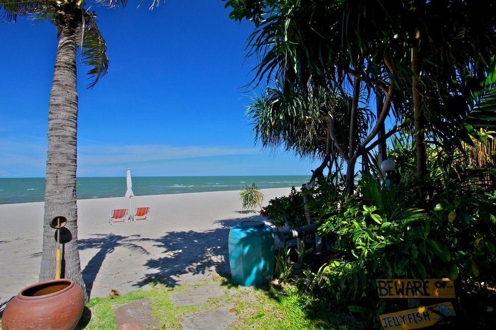 Casa Papaya 3*