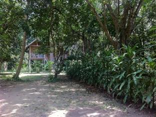 Khao Sok Evergreen House Holiday park