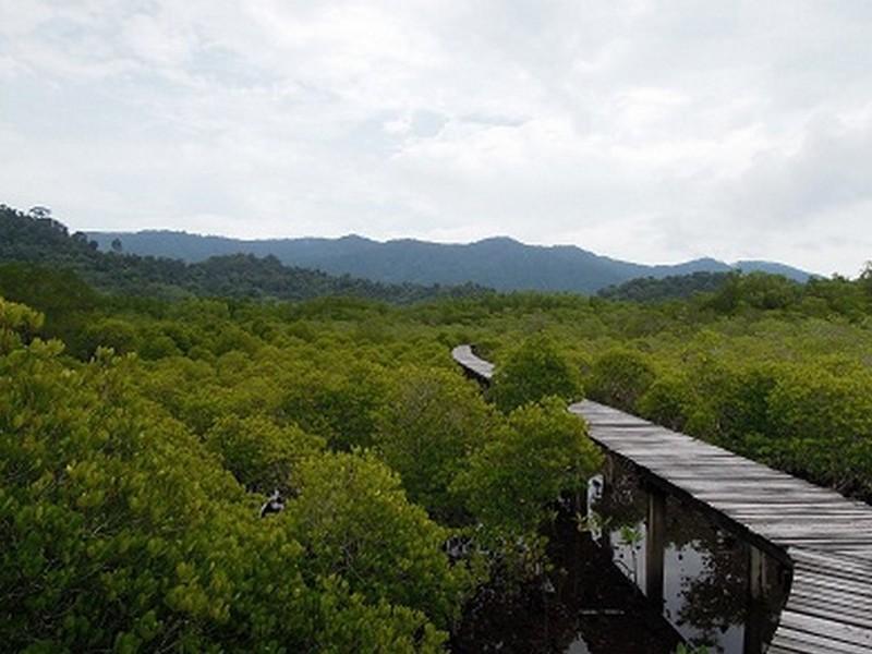 The Mangrove Hideaway Kohchang 3*