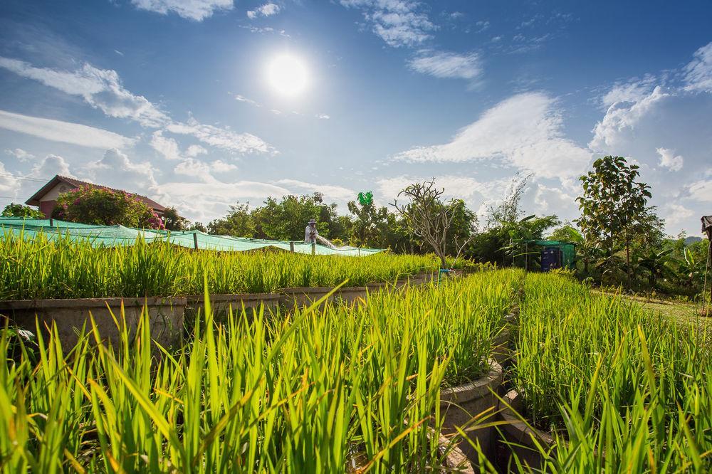 Phoomtada Resort Wiang Pa Pao