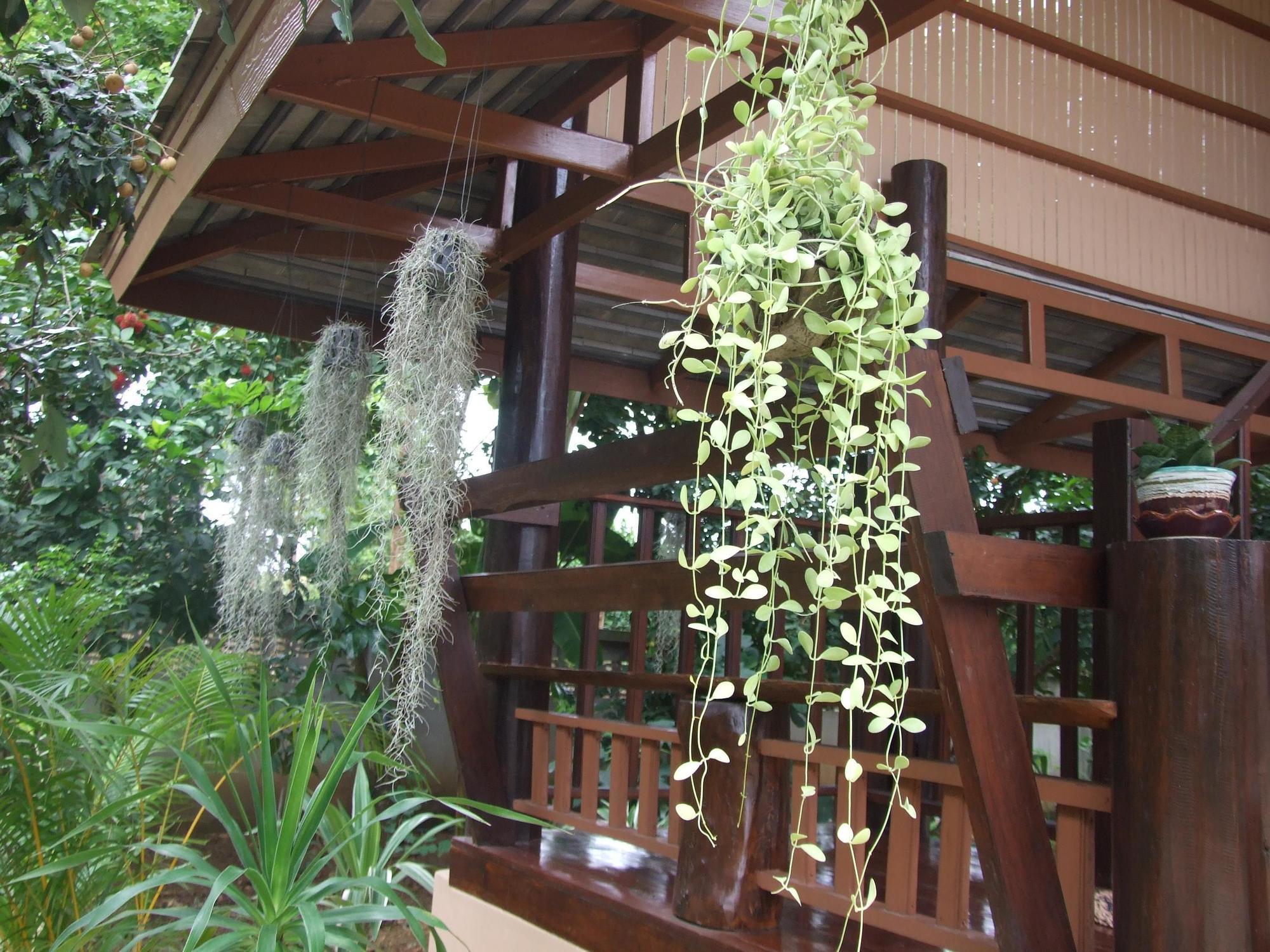 Ban Suan Mai Ngam Guest house Nan