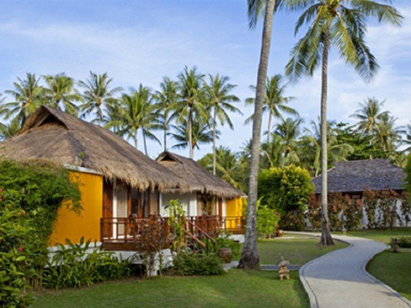 Elixir Koh Yao Yai - Sha Ko Yao Yai