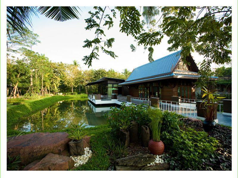 Young Coconut Garden Amphawa