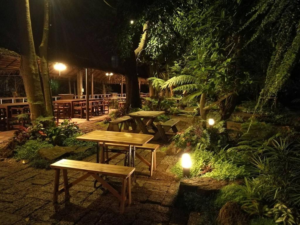 Young Coconut Garden Amphawa