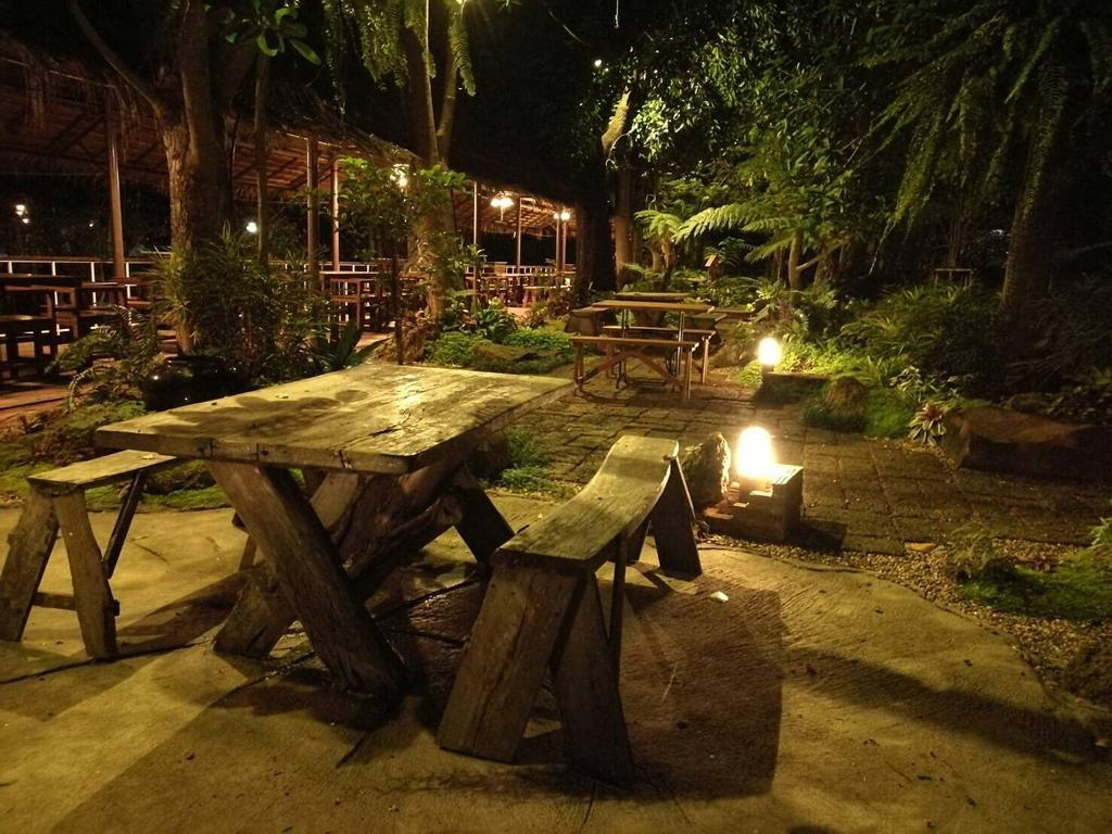 Young Coconut Garden