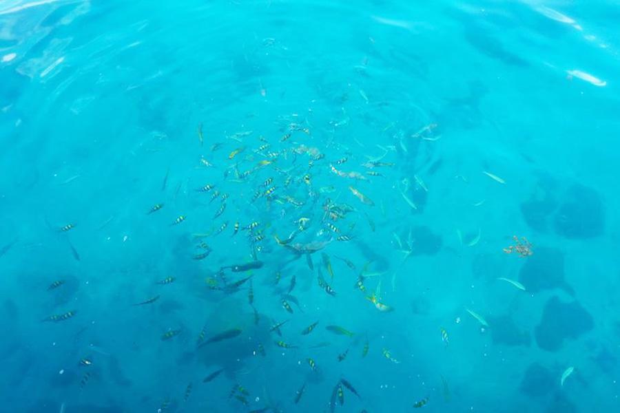 Makathanee Koh Mak