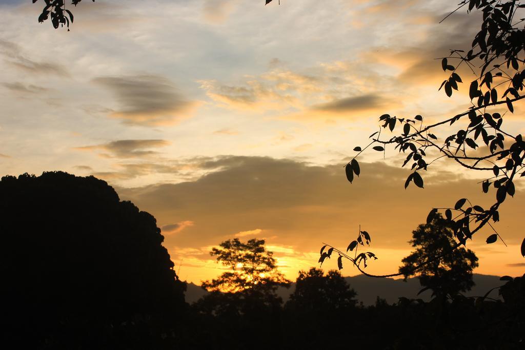 Homestay Dreamhome Chiangdao