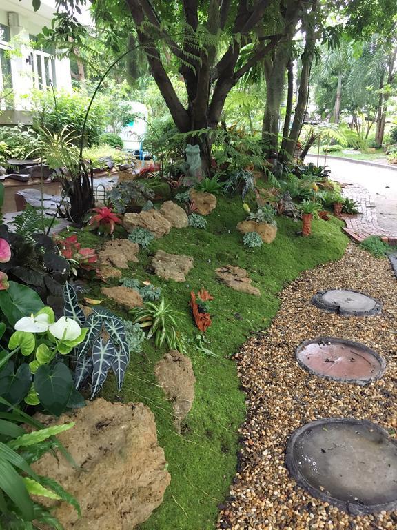 Resort Young Coconut Garden