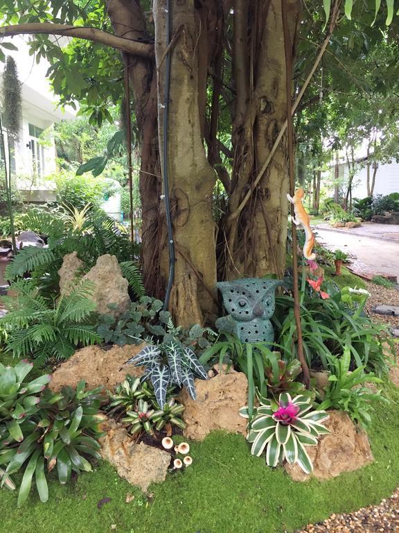 Young Coconut Garden