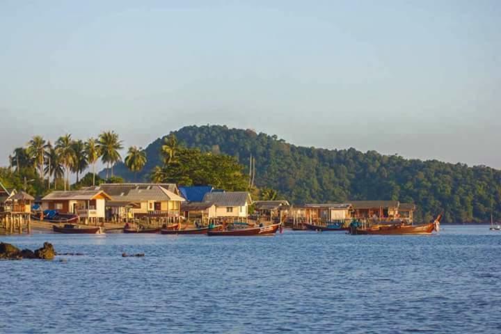 Guest house Jungle Hill 3*