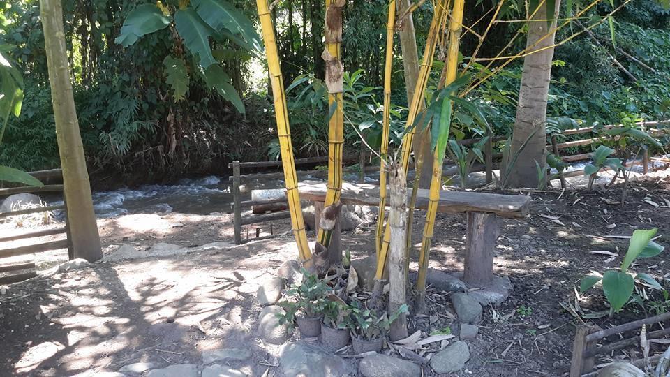 Bed & Breakfast Doo-dao-doi Farm & Chiang Dao