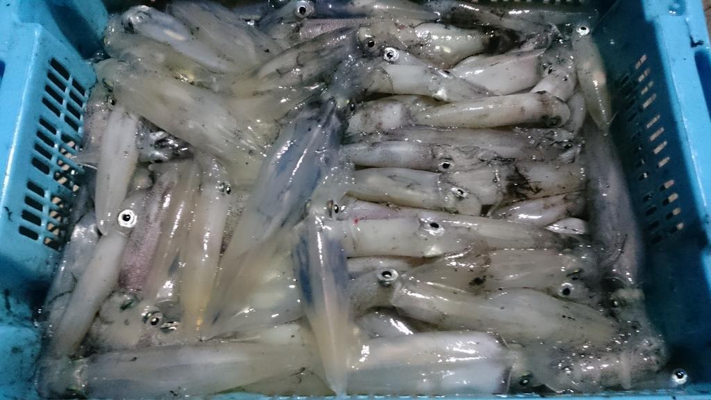 Tongtomyai *