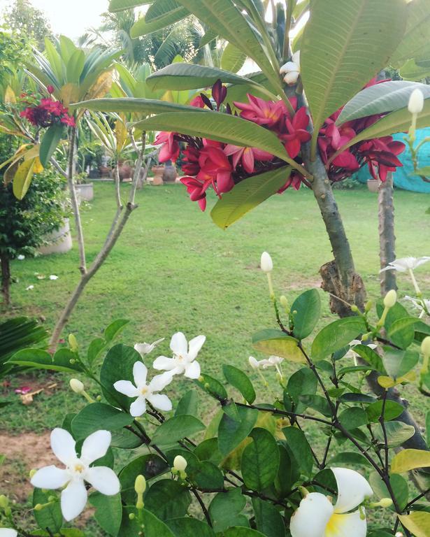 Gardenhome Guest house 2*