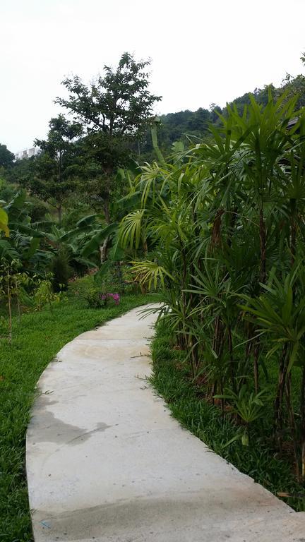 Phatong Holiday home Bophut