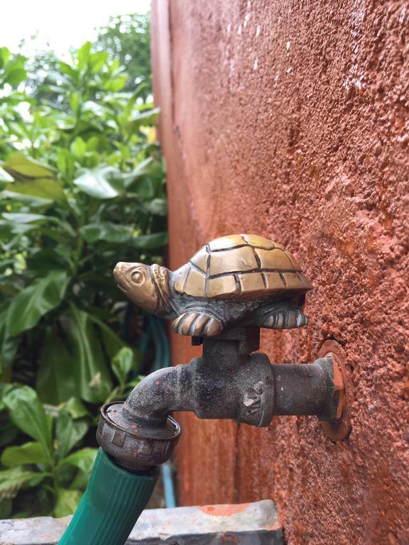 Away Tortugas At Hua Hin *