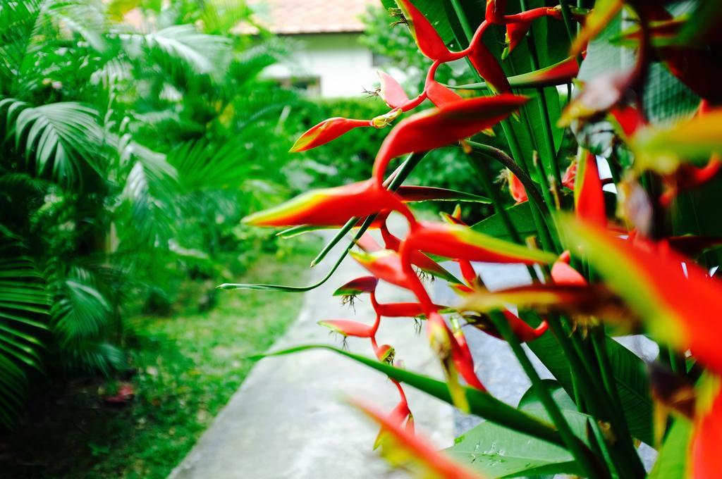 Holiday home The Nature House Aonang Krabi Thailand